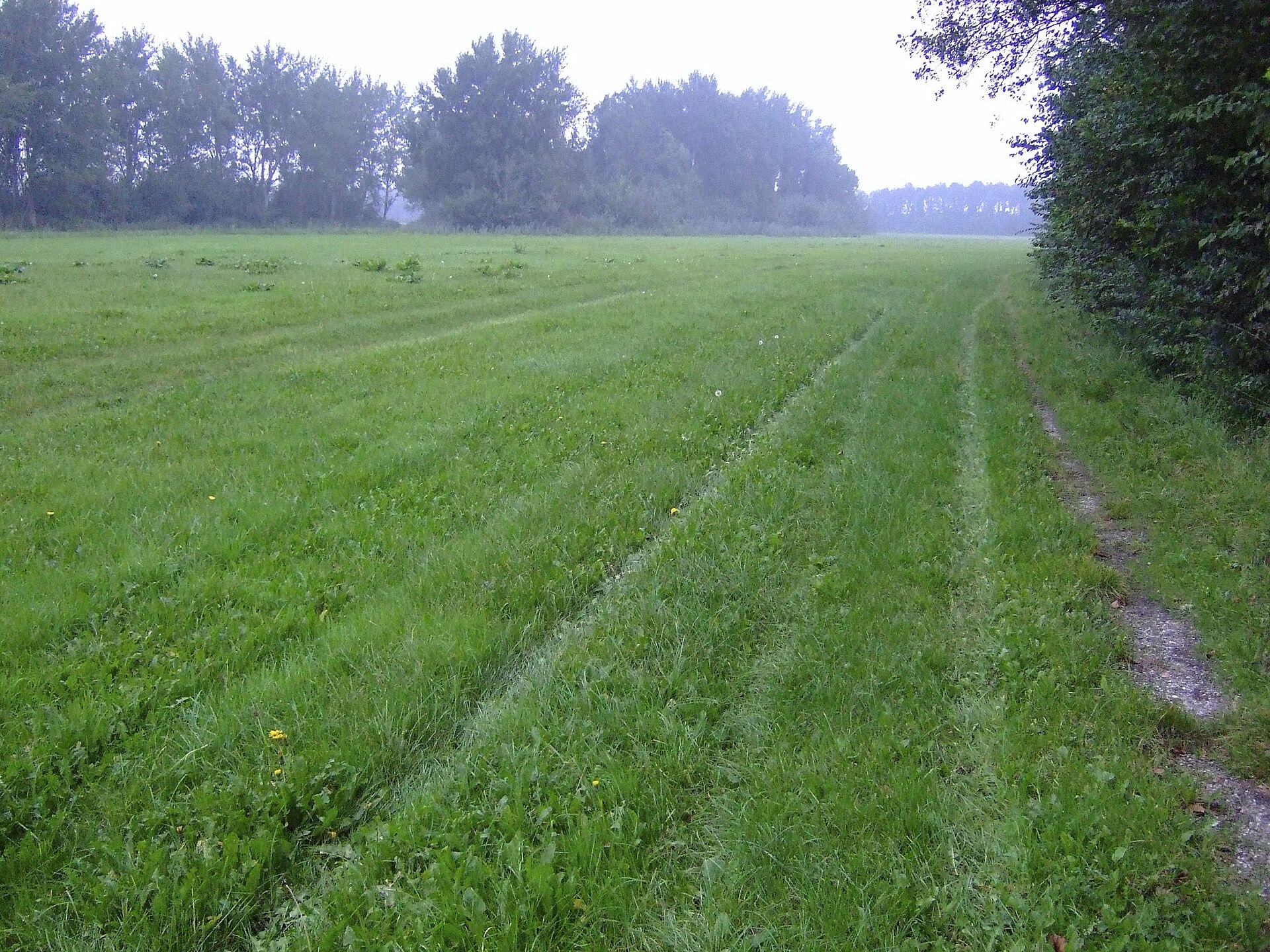 Flat Dutch landscape at a Neolithic settlement site near Swifterband