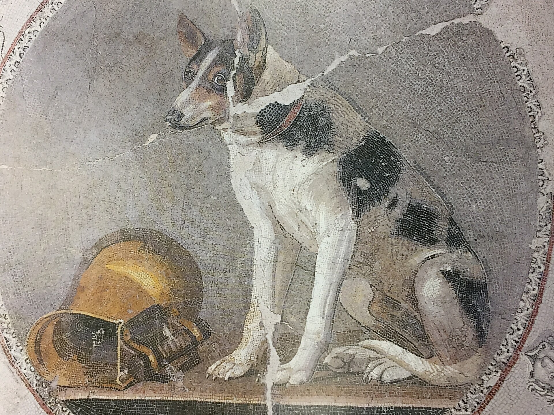 Ancient floor mosaic roundel showing a seated dog beside a gilded vessel