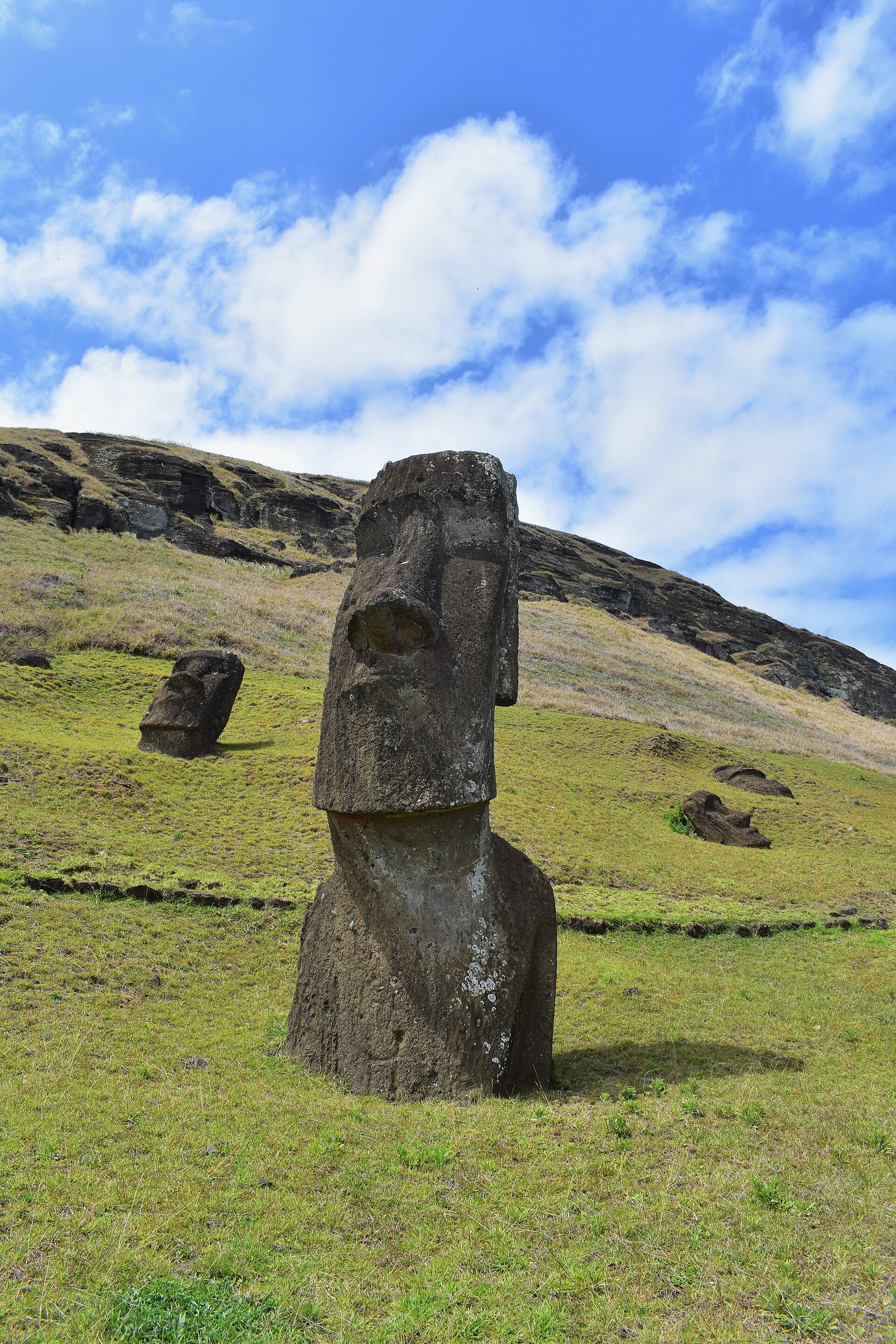 Moai heads on a grassy slope