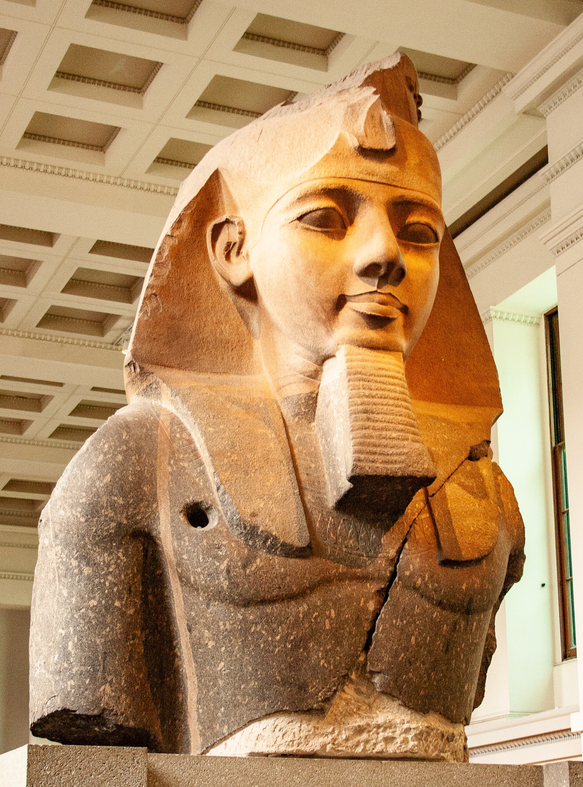Large granite bust of Ramesses II wearing a nemes headdress