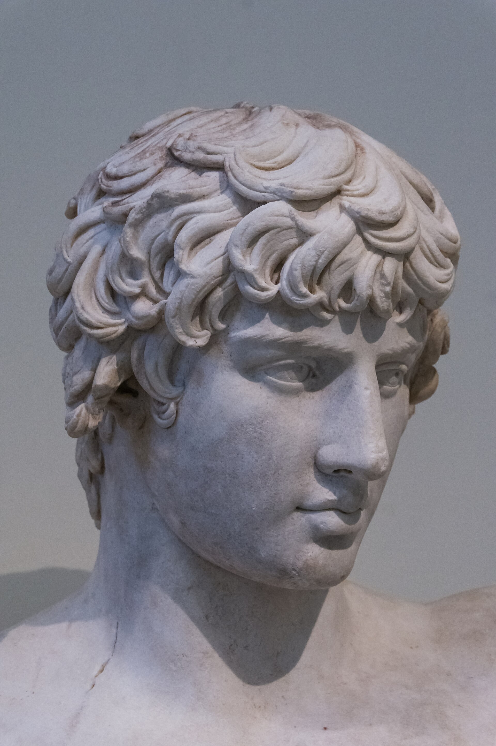 Close view of a marble bust of the youth Antinous