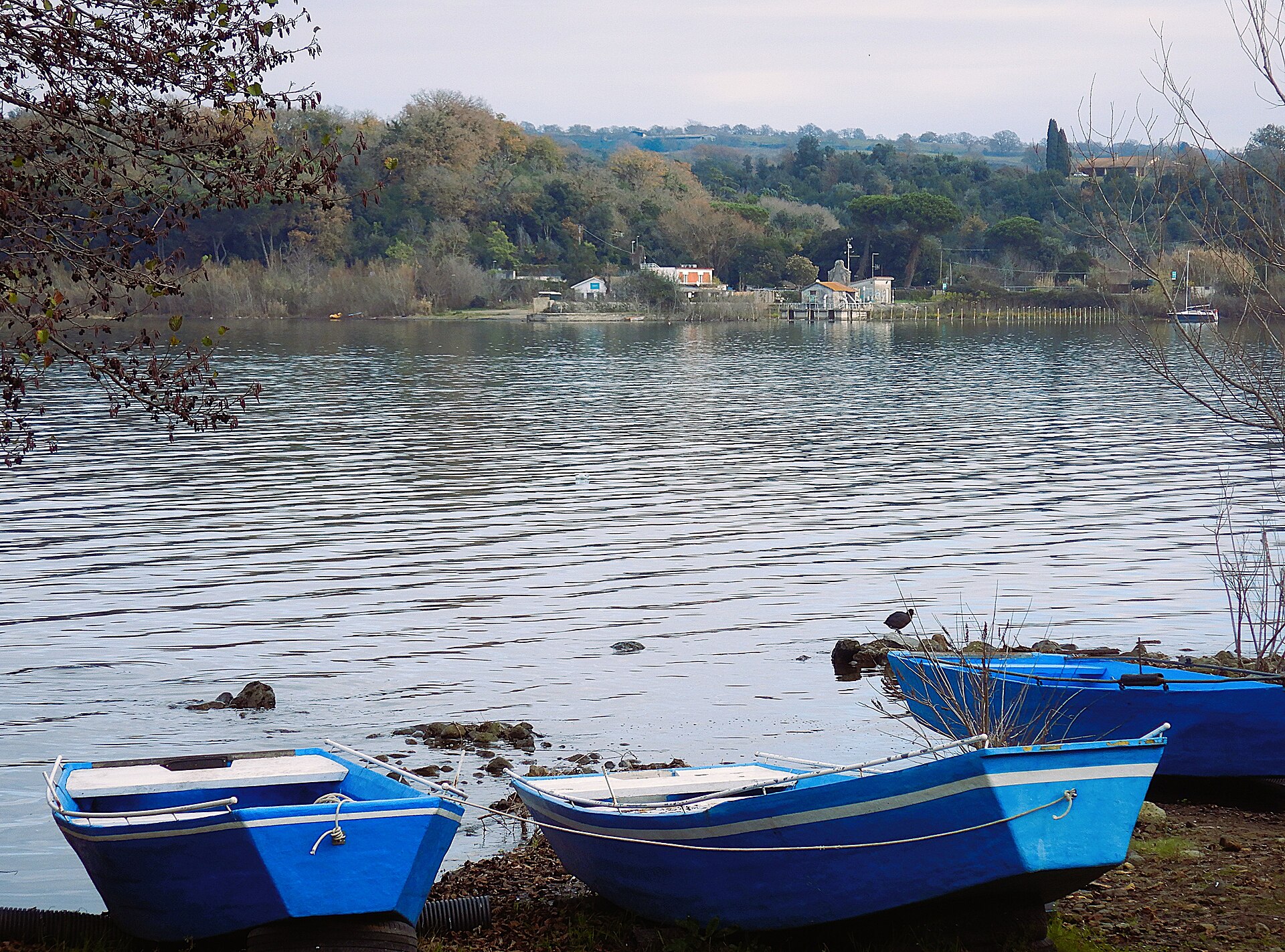 A calm bay of Lake Bracciano with wooded shoreline at La Marmotta