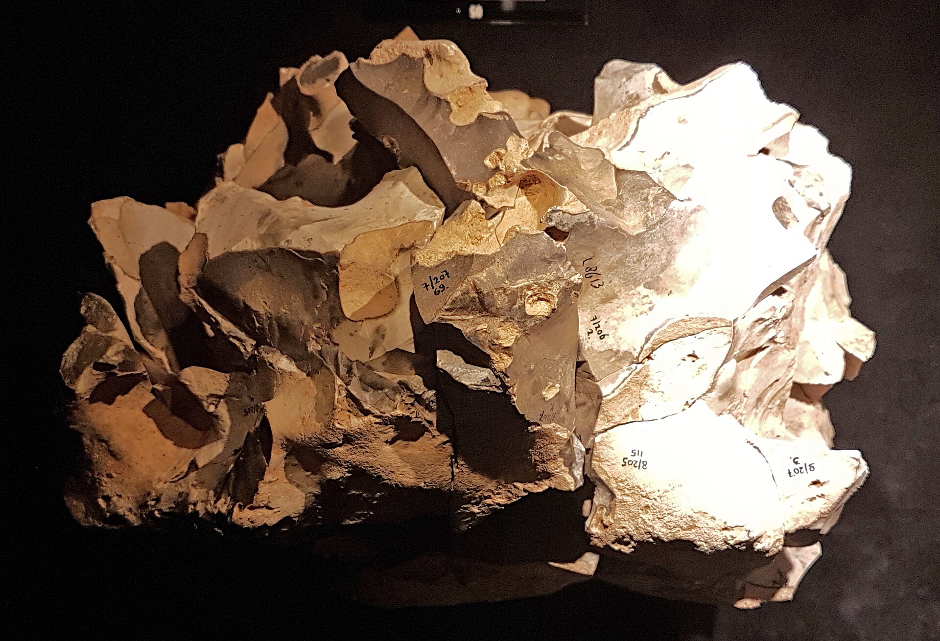 Flint core reassembled from struck flakes