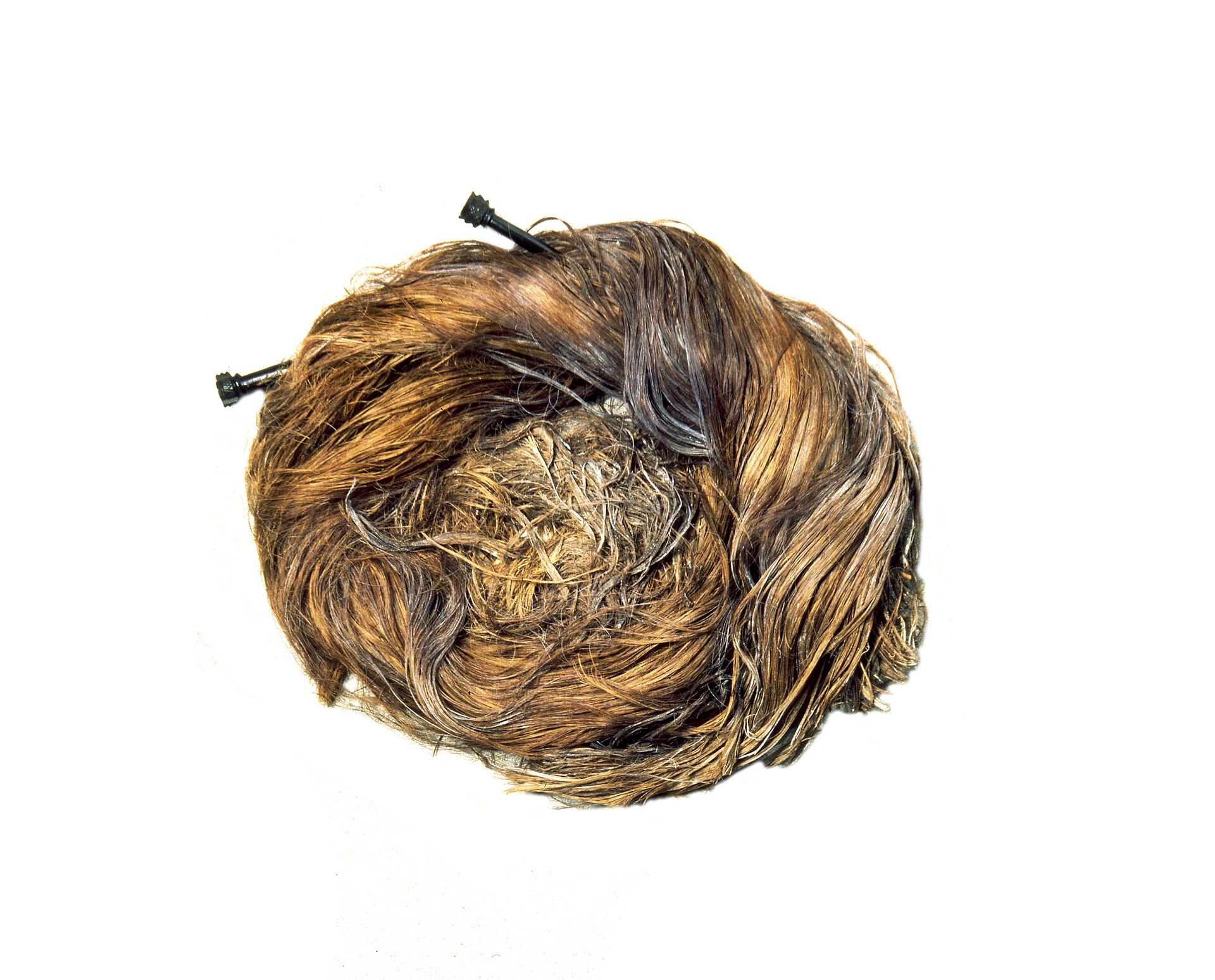 Preserved Roman hair piece from a York burial